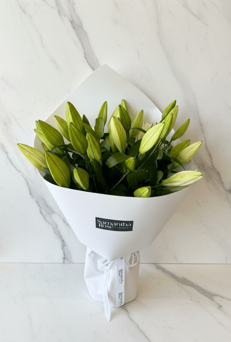 White Lily Lover
