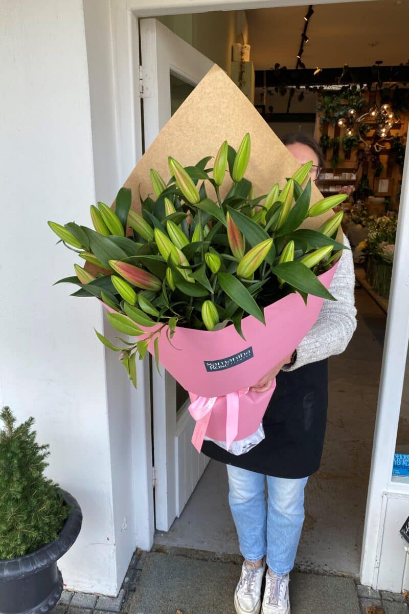 Pink Lily Lover