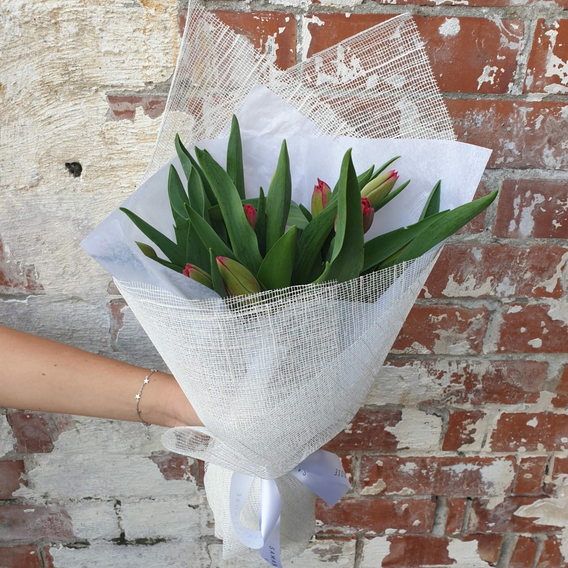 Tulip Lovers!