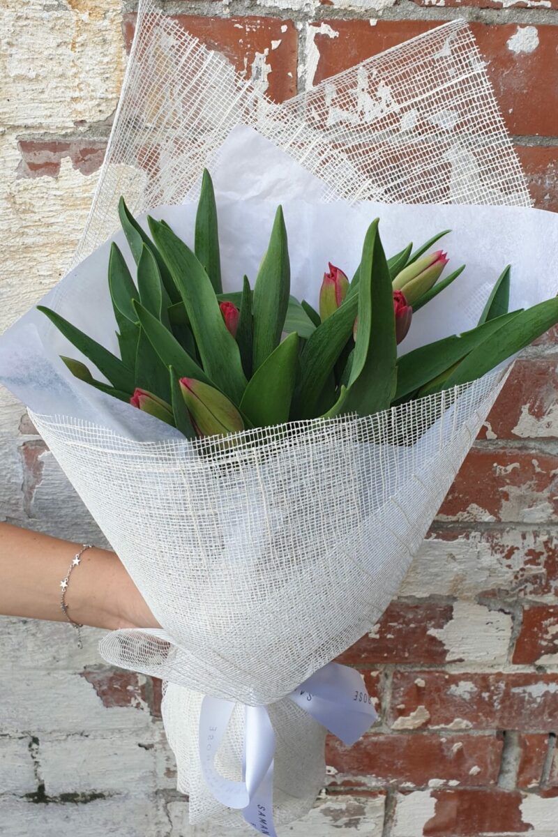 Tulip Lovers!