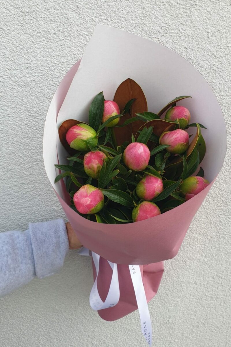 Peony Pop!
