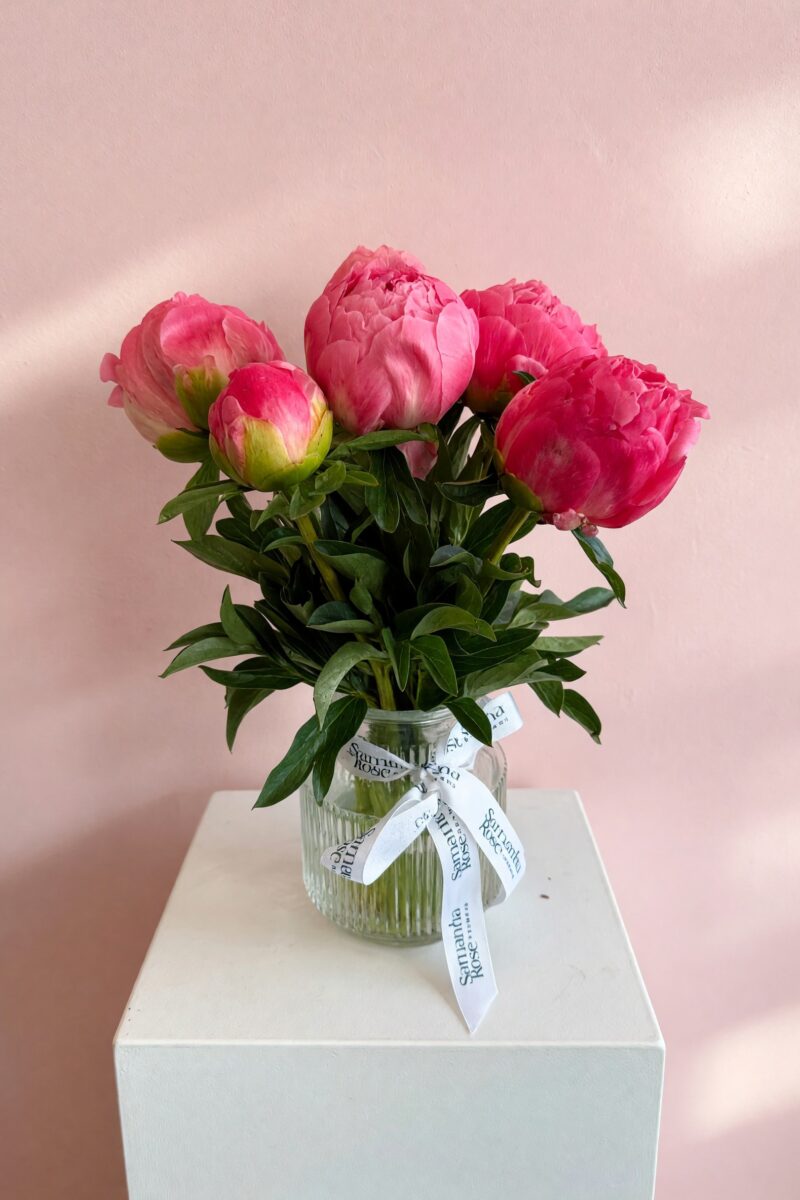 Peony + Vase