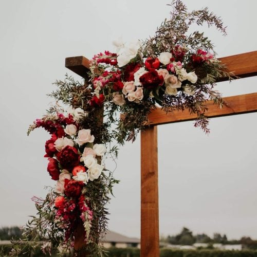 Photography - Sarah Clements
